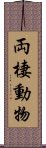 両棲動物 Scroll