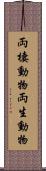 両棲動物 Scroll