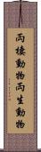 両棲動物 Scroll