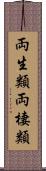 両生類 Scroll