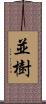 並樹 Scroll