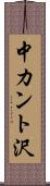 中カント沢 Scroll