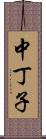 中丁子 Scroll