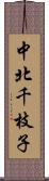中北千枝子 Scroll