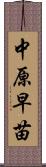 中原早苗 Scroll