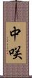 中咲 Scroll