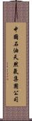 中國石油天然氣集團公司 Scroll