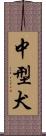 中型犬 Scroll