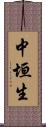 中垣生 Scroll