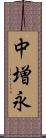 中増永 Scroll