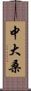 中大桑 Scroll