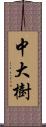 中大樹 Scroll