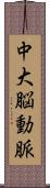 中大脳動脈 Scroll