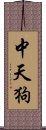 中天狗 Scroll