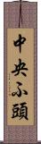 中央ふ頭 Scroll