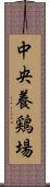 中央養鶏場 Scroll