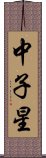 中子星 Scroll