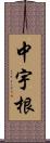 中宇根 Scroll