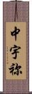 中宇祢 Scroll