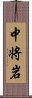 中将岩 Scroll