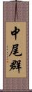 中尾群 Scroll