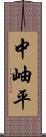 中岫平 Scroll