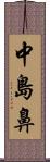 中島鼻 Scroll