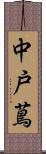 中戸蔦 Scroll