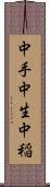 中手 Scroll