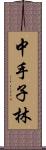 中手子林 Scroll