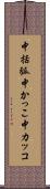 中括弧 Scroll