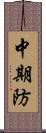 中期防 Scroll