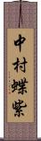 中村蝶紫 Scroll