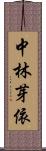 中林芽依 Scroll