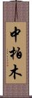 中柏木 Scroll