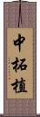 中柘植 Scroll