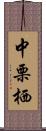 中栗栖 Scroll