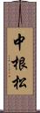 中根松 Scroll