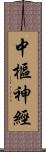 中樞神經 Scroll