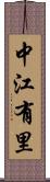 中江有里 Scroll