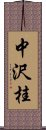 中沢桂 Scroll