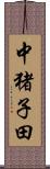 中猪子田 Scroll