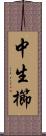 中生櫛 Scroll