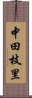 中田枝里 Scroll
