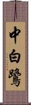 中白鷺 Scroll