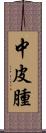 中皮腫 Scroll