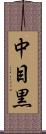 中目黒 Scroll