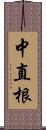 中直根 Scroll