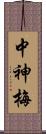 中神梅 Scroll