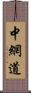 中網道 Scroll